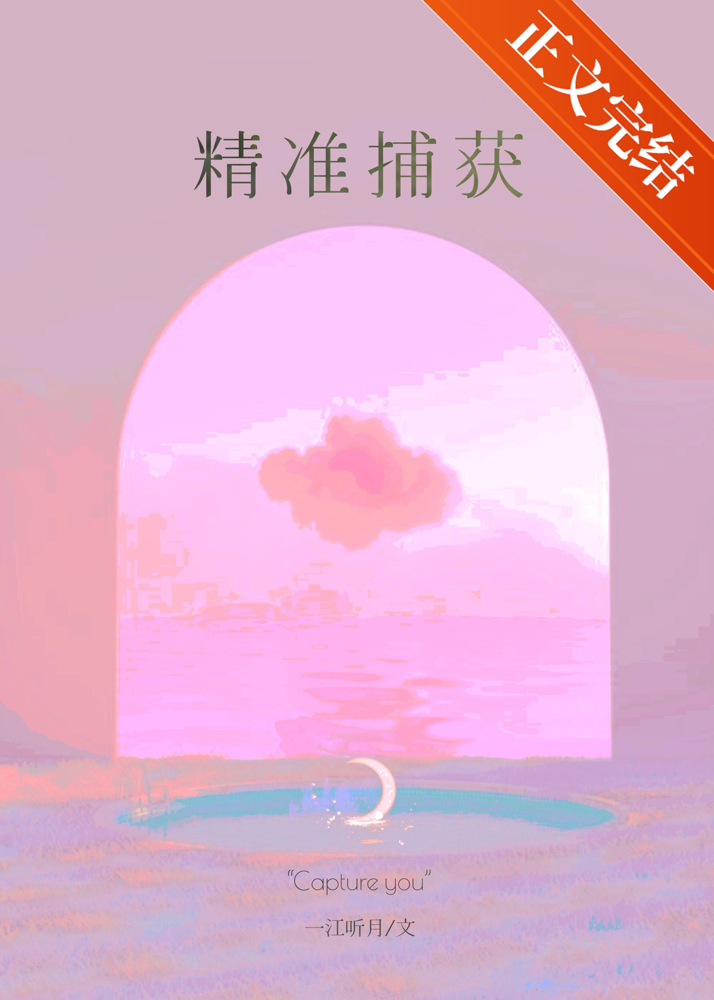 精准捕获封面