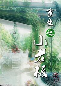 重生之小老板封面