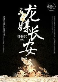 龙媒长安封面