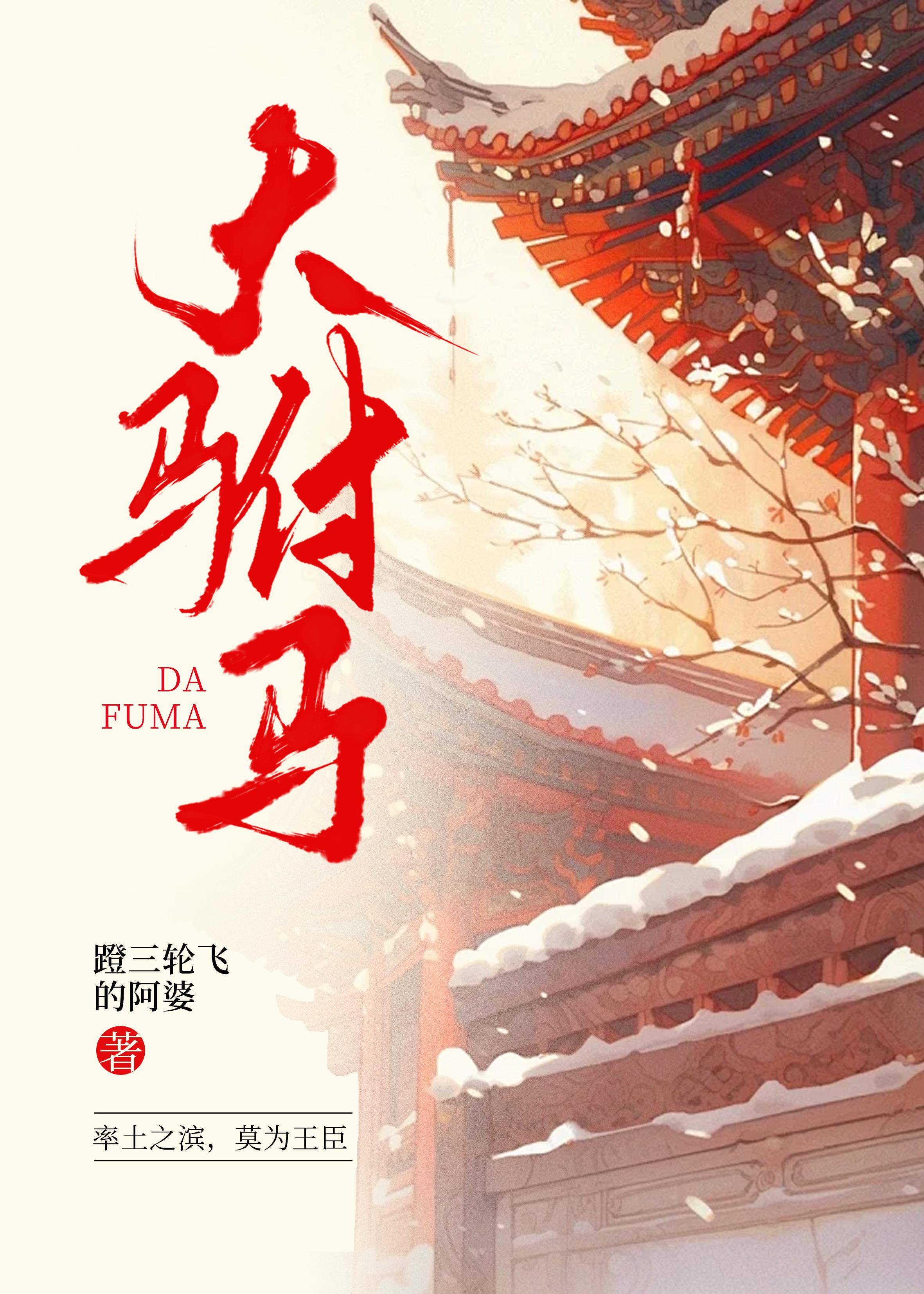 大驸马封面