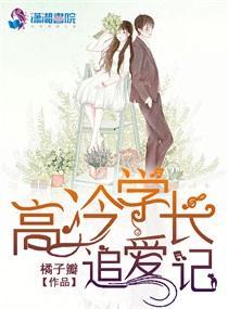 高冷学长追爱记封面