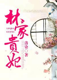 红楼之林家贵妃封面