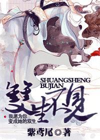 双生不见封面