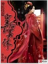 神医怪盗：皇后不罢休！封面
