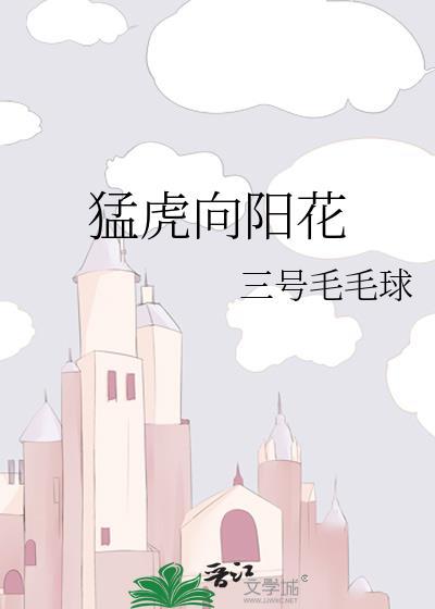 猛虎向阳花封面