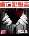 逃亡犯报告封面