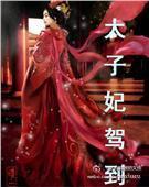 太子妃驾到封面