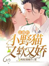 总裁的小野猫又软又娇封面