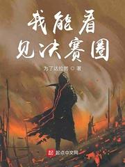 我能看见决赛圈封面