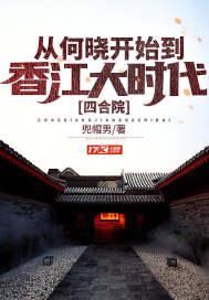 四合院：从何晓开始到香江大时代封面