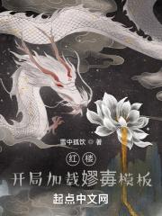 红楼：开局加载嫪毐模板封面