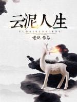 云泥人生封面