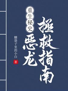 重生秘史：恶龙拯救指南封面