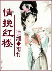 情挽红楼封面