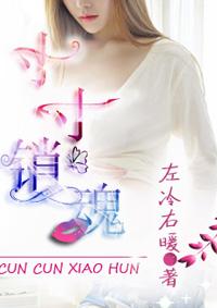 寸寸销魂封面