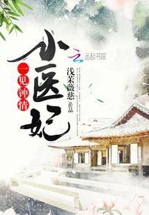 一见钟情小医妃封面