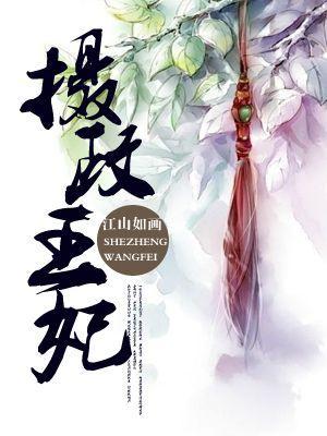 摄政王妃封面
