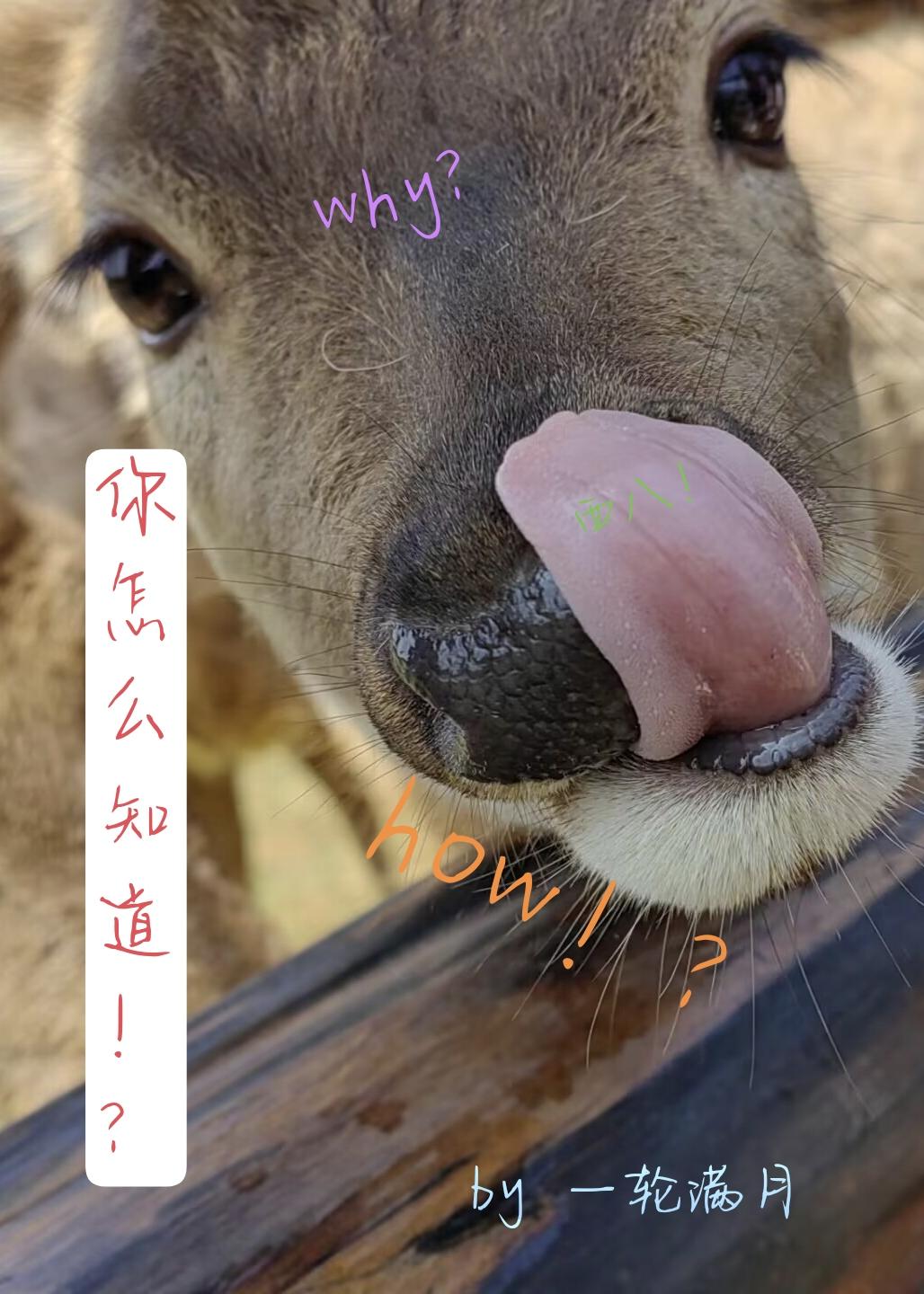 你怎么知道！？封面