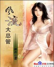 风流大总管封面
