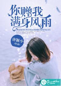 你赐我满身风雨封面