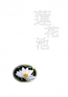 莲花池封面