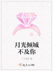 月光倾城不及你封面