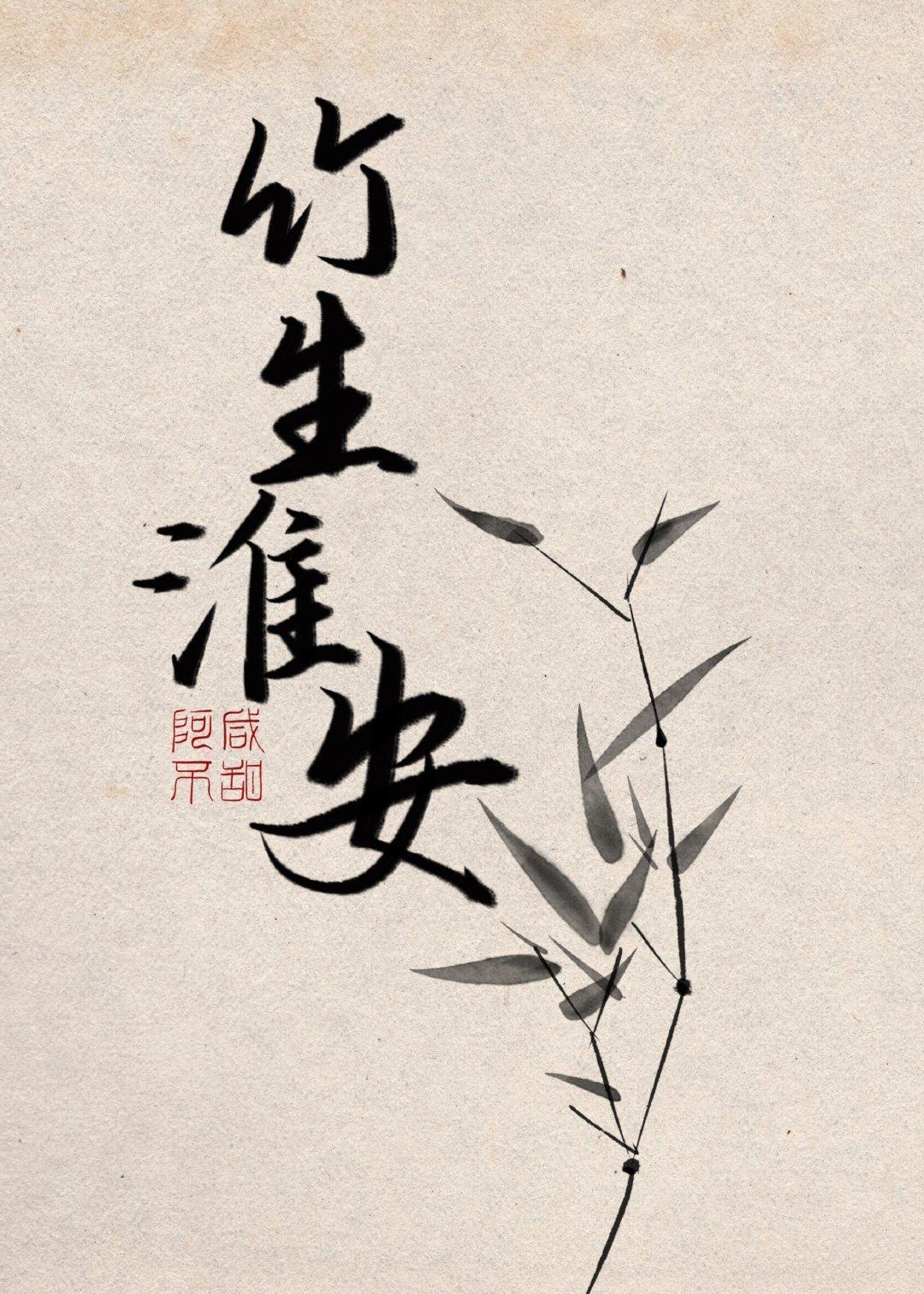 竹生淮安封面