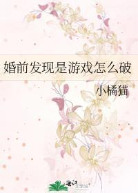 婚前发现是游戏怎么破封面
