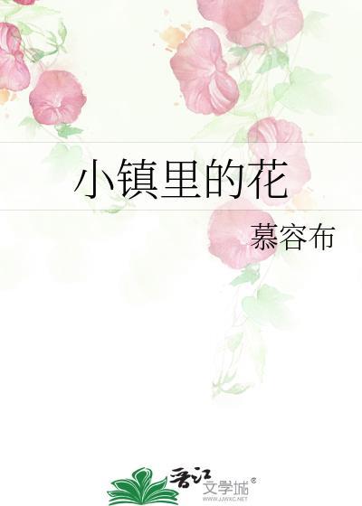 小镇裏的花封面