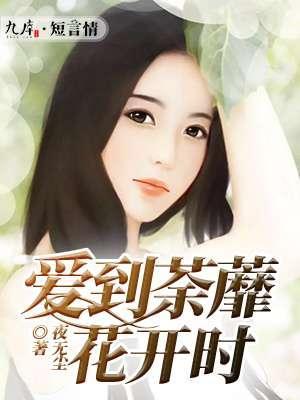 爱到荼蘼花开时封面