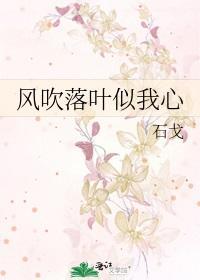 风吹落叶似我心封面