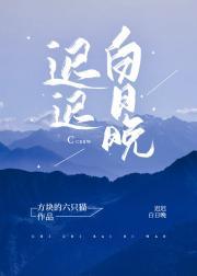 迟迟白日晚封面