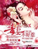 毒妻不好惹封面