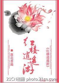 红楼逍遥游封面