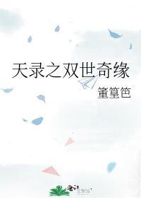 天录之双世奇缘封面
