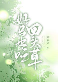 好马也吃回头草封面