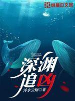 深渊追凶封面