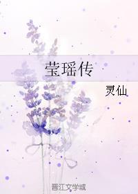 莹瑶传封面