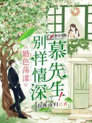 别样情深慕先生封面