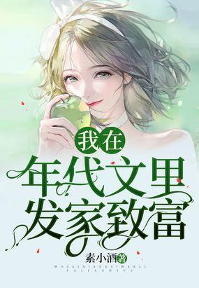 我在年代文里发家致富封面
