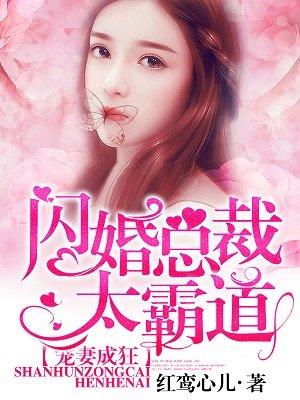 宠妻成狂：闪婚总裁太霸道封面