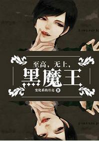 至高，无上，黑魔王！封面