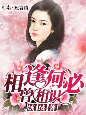 相逢何必曾相识封面