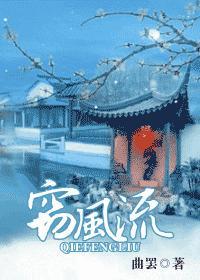 窃风流封面