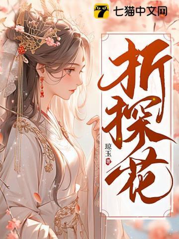 折探花封面