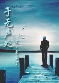 于无声处封面