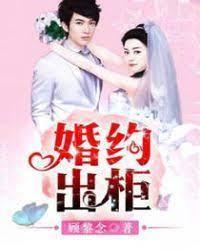 婚约出柜封面