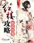 红楼攻略封面