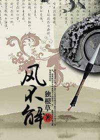 风 不解封面