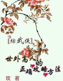 世外高人的正确攻略方法封面